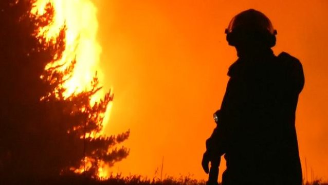Chile under state of emergency due to massive wildfires