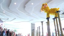 Lion dance troupes bring in festive cheer for CNY