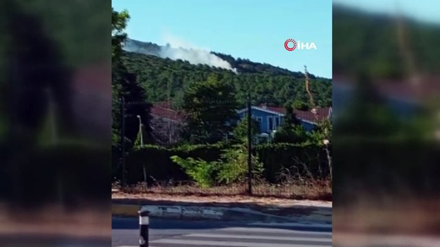 Aydos Ormanları'nda çıkan yangına ekipler müdahale ediyor.