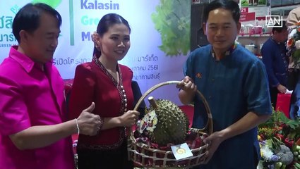 [NTV 180518] SCOOP  Durian frenzy now in Thailand