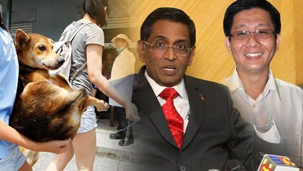 Subra to Opposition: Stop creating negative perception on rabies outbreak