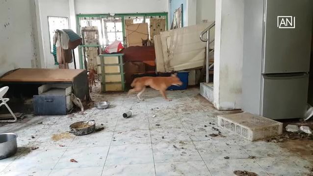 [NTV 020418] Dogs and cats rescued after trapped inside home for two months