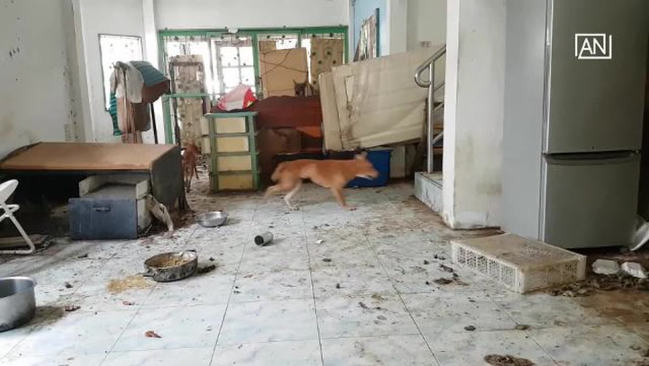 [NTV 020418] Dogs and cats rescued after trapped inside home for two months