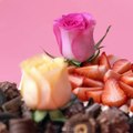 Fancy Chocolate HEART Cake Decorating Ideas - Delicious Chocolate Cake Recipes - So Yummy Cake (1)