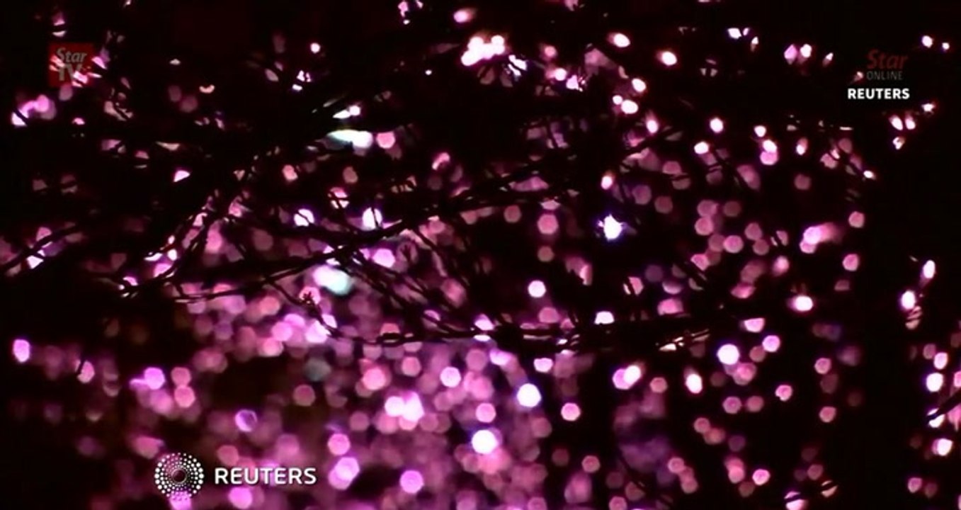 Tokyo's Christmas 'cherry blossoms'