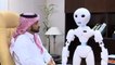 Arabic-speaking robot could replace teachers, says researcher