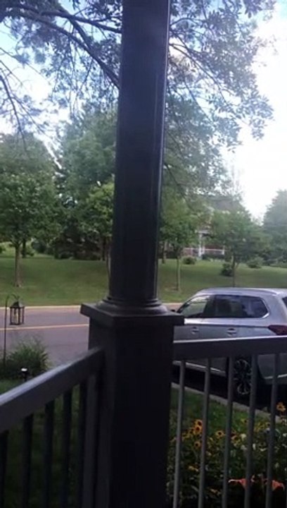 Omission d'arrêt obligatoire près du parc Jardin de Médicis - Août 2020