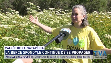 TVA Nouvelles 12H CHAU 14 août 2020