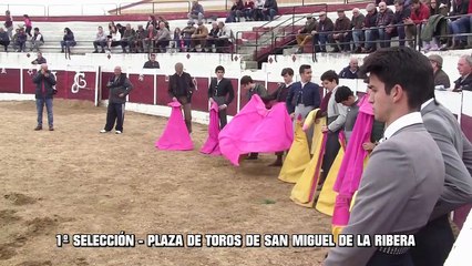 ALFONSO ALONSO BOLSIN TIERAS DE ZAMORA 2018