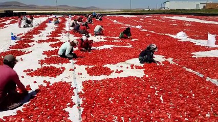 Güneşte kurutulan domatesler 6 ülkeye ihraç ediliyor - NİĞDE
