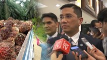 Azmin: There are no plans to merge Felda and Felcra