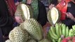 [NTV 060618] Thai tourism authority invites public to taste durian meat at orchards