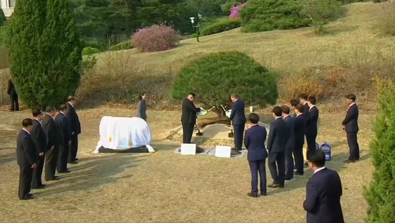 N. Korea's Kim, S. Korea's Moon plant tree for peace