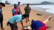 Beachgoers rescue injured sea turtle tangled in fishing net