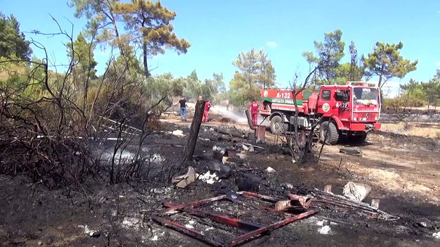 Manavgat'ta çıkan orman yangını söndürüldü - ANTALYA
