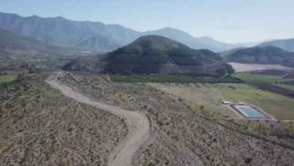 El cultivo del aguacate seca la zona central de Chile y amenaza sus comunidades
