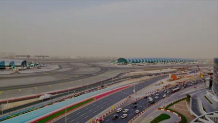 Dubai International Airport Becomes the First to Deploy Coronavirus-sniffing Dogs