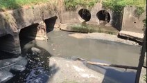 Sungai Tukang Batu Pollution