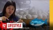 Taste Buds: Fuzhou’s fish ball