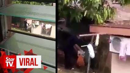 Report lodged after video circulates of man killing puppies