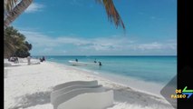 Punta cana ,isla saona, macao info y tips 2020, De Paseo!