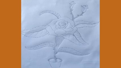 How to draw a beautiful roses with pencil step by step flower pot