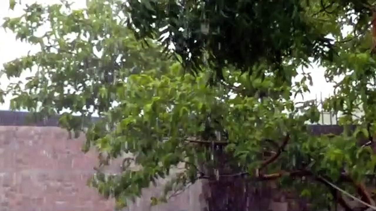 पिछले 24 घंटे में 130 मि.मी. औसत वर्षा