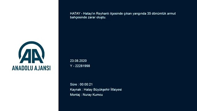 Yangında 35 dönümlük meyve bahçesi zarar gördü - HATAY