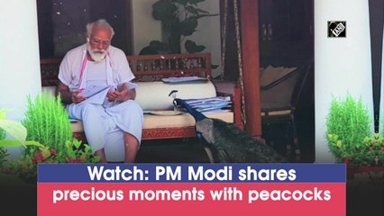 PM Modi shares precious moments with peacocks