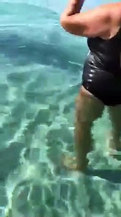 La daurade sur la plage