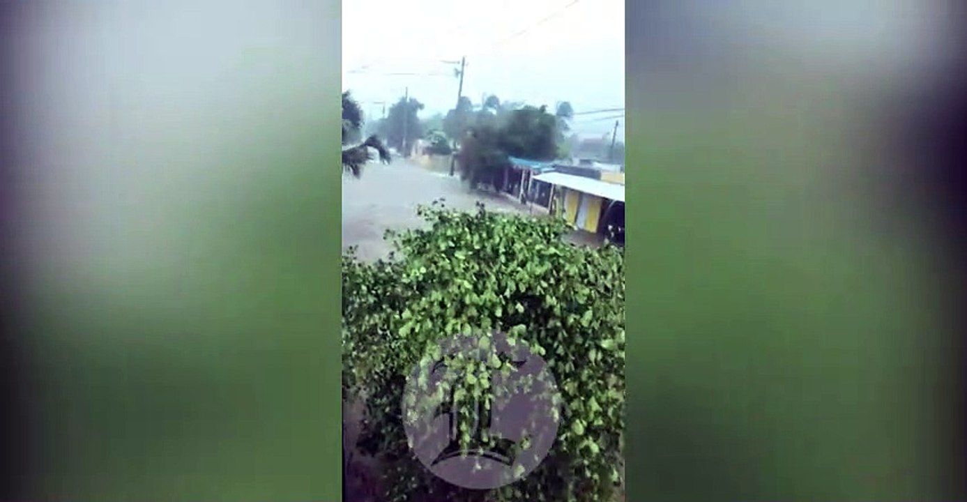 A los residentes de Pedernales, Laura los ha tomado por sorpresa