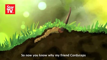 Remedies With Seng Sifu Episode 1: The story behind the energy-boosting Cordyceps