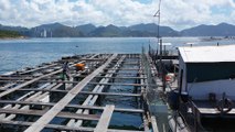 Hong Kong fish farmer plans to spend rest of his life on floating farm despite industry’s decline