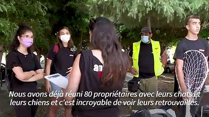 Après l'explosion de Beyrouth, une association réunit des habitants avec leurs animaux perdus