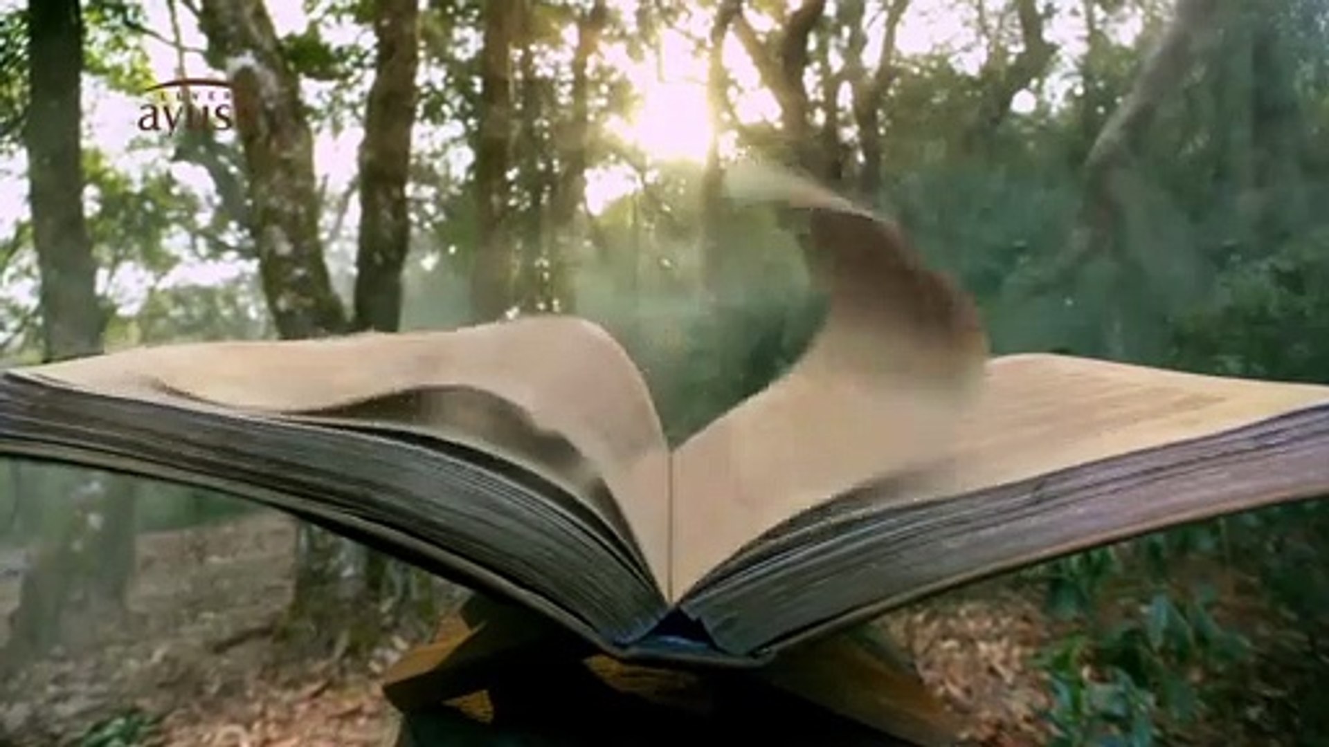 Thanamalvila Kollek - Episode 36