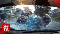 Cops nab windscreen-smashing road bully