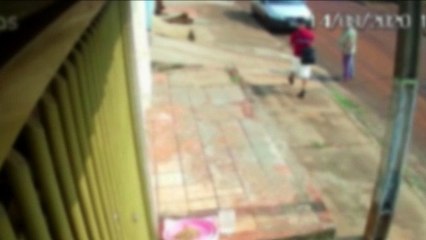 Cachorros são atacados com pedradas no Bairro Tarumã