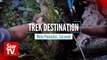 Trek Destination: Mulu Pinnacles at Mulu National Park, Sarawak
