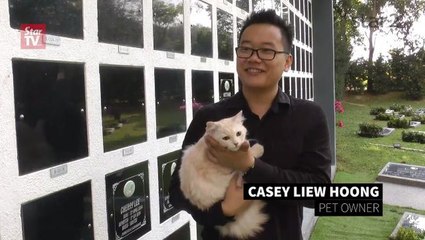 nirvana pet cremation