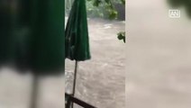 [NTV 150818] Tourist rescued after being washed by flash flood