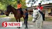 Ismail Sabri: Equestrian centres allowed to resume limited operation
