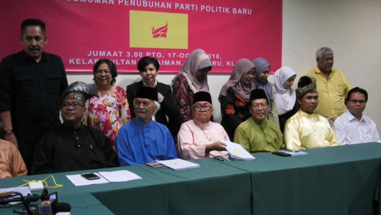 Ibrahim Ali announces new party to champion Bumi rights