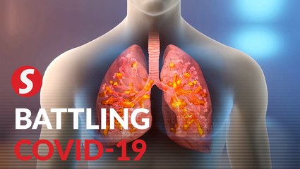 Explainer: Why is the coronavirus so deadly?