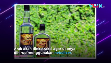 Luhut Sebut Arak Bali Bisa Turunkan Angka Penderita COVID-19