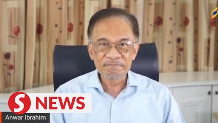 Anwar: Malaysia should move away from race-based parties