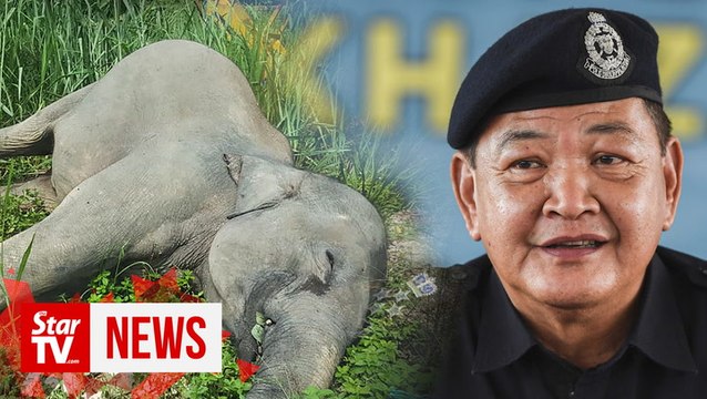 Police to recommend whipping for wildlife poachers and smugglers