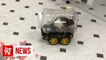 Scientists successfully train rats to drive tiny cars