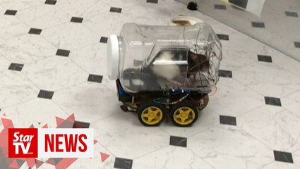 Scientists successfully train rats to drive tiny cars