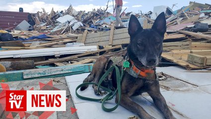 Search for survivors continues in the Bahamas