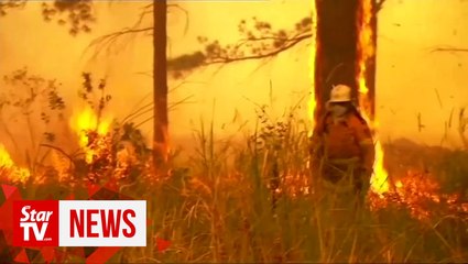 Скачать видео: 'Too late to leave': Bushfires threaten Australia